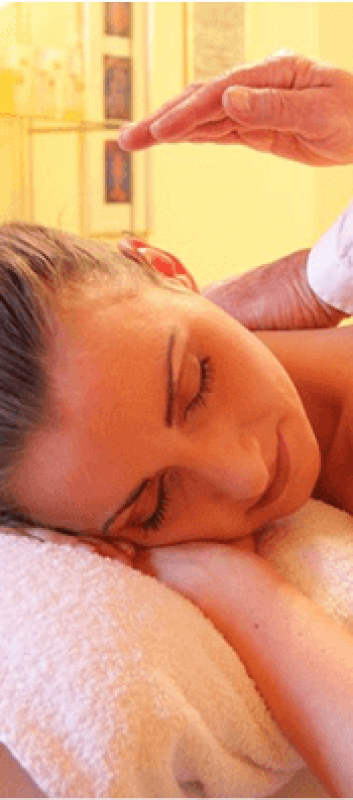 Real Pro-Health Back Massager